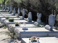 コリジン・ドッグ・セメタリー